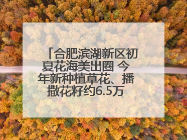 合肥滨湖新区初夏花海美出圈 今年新种植草花、播撒花籽约6.5万平方米