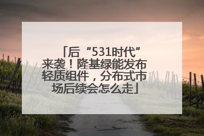 后“531时代”来袭！隆基绿能发布轻质组件，分布式市场后续会怎么走