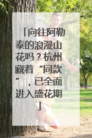 向往阿勒泰的浪漫山花吗？杭州藏着“同款”，已全面进入盛花期