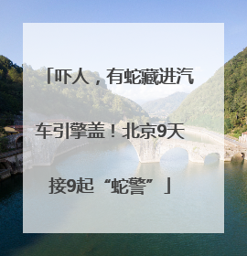吓人，有蛇藏进汽车引擎盖！北京9天接9起“蛇警”