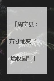 周宁县：方寸地变“增收园”