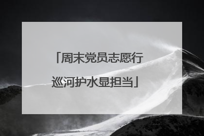 周末党员志愿行 巡河护水显担当