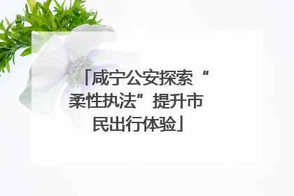 咸宁公安探索“柔性执法”提升市民出行体验