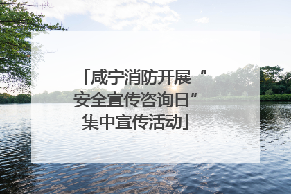 咸宁消防开展“安全宣传咨询日”集中宣传活动