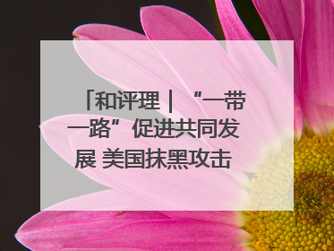 和评理｜“一带一路”促进共同发展 美国抹黑攻击酸味十足