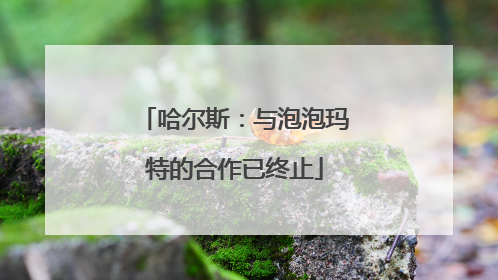 哈尔斯：与泡泡玛特的合作已终止
