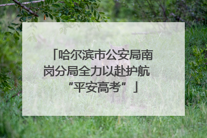 哈尔滨市公安局南岗分局全力以赴护航“平安高考”