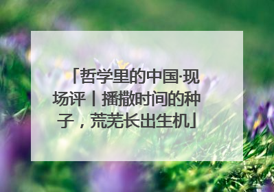 哲学里的中国·现场评丨播撒时间的种子，荒芜长出生机