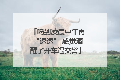 喝到凌晨中午再“透透” 感觉酒醒了开车遇交警