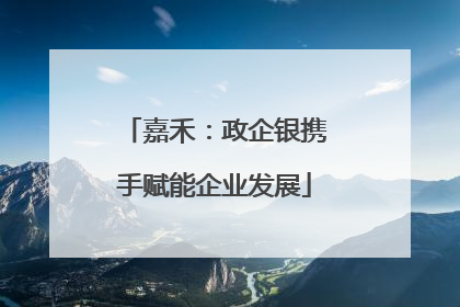 嘉禾：政企银携手赋能企业发展
