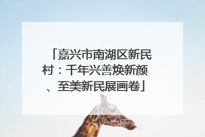 嘉兴市南湖区新民村：千年兴善焕新颜、至美新民展画卷