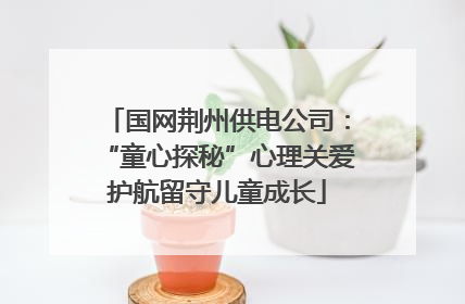 国网荆州供电公司：“童心探秘”心理关爱护航留守儿童成长