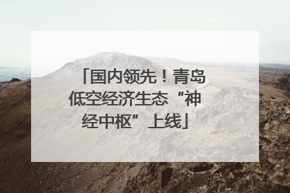国内领先！青岛低空经济生态“神经中枢”上线
