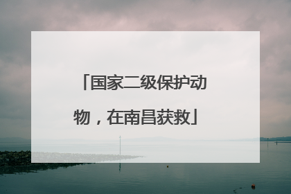 国家二级保护动物，在南昌获救