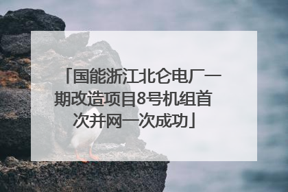 国能浙江北仑电厂一期改造项目8号机组首次并网一次成功