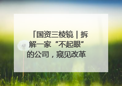 国资三棱镜｜拆解一家“不起眼”的公司，窥见改革中的山东国企