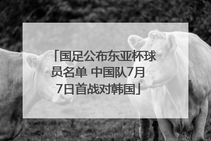 国足公布东亚杯球员名单 中国队7月7日首战对韩国