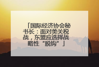国际经济协会秘书长：面对美关税战，东盟应选择战略性“脱钩”