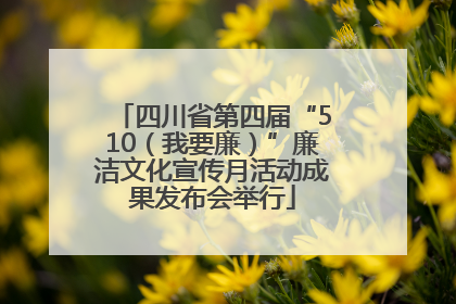 四川省第四届“510（我要廉）”廉洁文化宣传月活动成果发布会举行