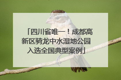四川省唯一！成都高新区骑龙中水湿地公园入选全国典型案例