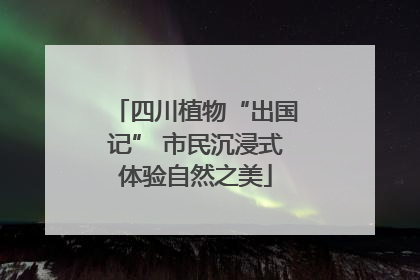 四川植物“出国记” 市民沉浸式体验自然之美