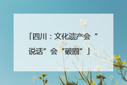 四川：文化遗产会“说话”会“破圈”
