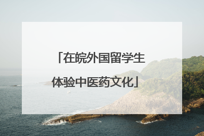 在皖外国留学生体验中医药文化