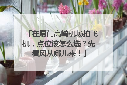 在厦门高崎机场拍飞机，点位该怎么选？先看风从哪儿来！