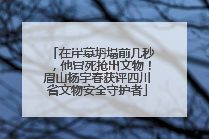 在崖墓坍塌前几秒，他冒死抢出文物！眉山杨宇春获评四川省文物安全守护者