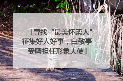 寻找“最美怀柔人”征集好人好事，白敬亭受聘担任形象大使