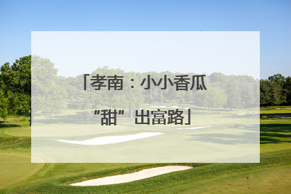 孝南：小小香瓜 “甜”出富路