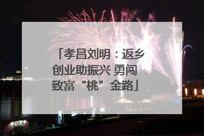 孝昌刘明：返乡创业助振兴 勇闯致富“桃”金路