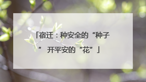 宿迁：种安全的“种子” 开平安的“花”