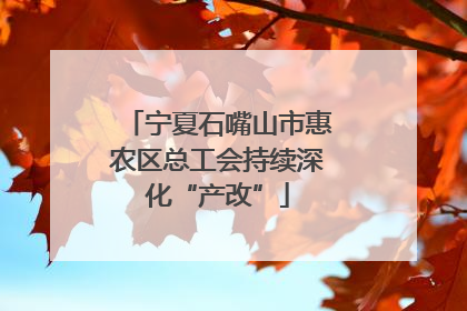 宁夏石嘴山市惠农区总工会持续深化“产改”