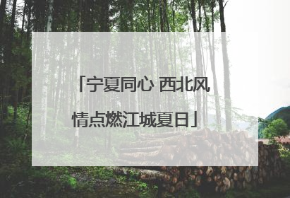宁夏同心 西北风情点燃江城夏日