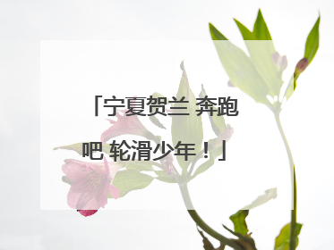 宁夏贺兰 奔跑吧 轮滑少年！