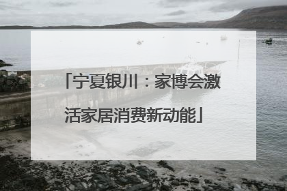 宁夏银川：家博会激活家居消费新动能