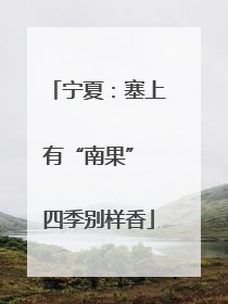 宁夏：塞上有“南果” 四季别样香