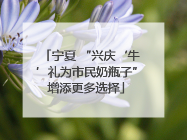 宁夏 “兴庆‘牛’礼为市民奶瓶子”增添更多选择