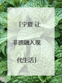 宁夏 让非遗融入现代生活