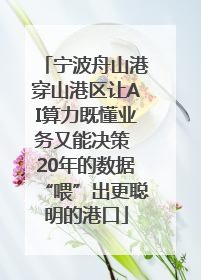 宁波舟山港穿山港区让AI算力既懂业务又能决策 20年的数据“喂”出更聪明的港口