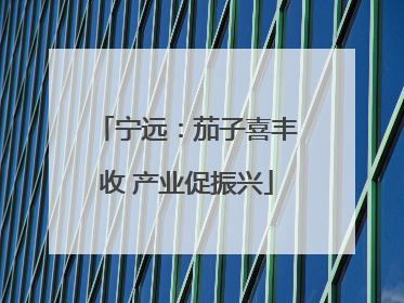 宁远：茄子喜丰收 产业促振兴