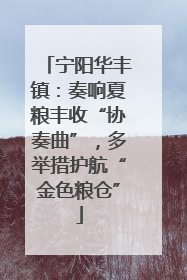 宁阳华丰镇：奏响夏粮丰收“协奏曲”，多举措护航“金色粮仓”