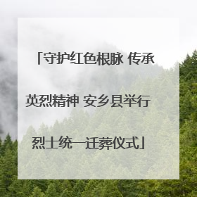 守护红色根脉 传承英烈精神 安乡县举行烈士统一迁葬仪式