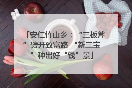 安仁竹山乡：“三板斧”劈开致富路 “新三宝”种出好“钱”景