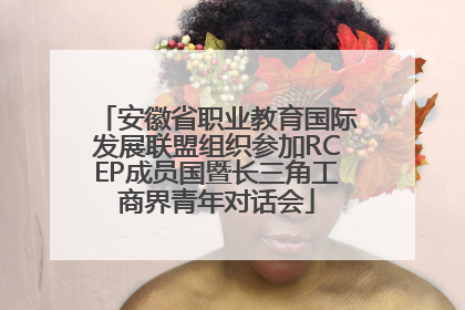 安徽省职业教育国际发展联盟组织参加RCEP成员国暨长三角工商界青年对话会