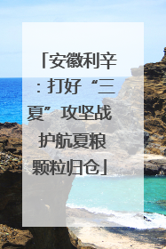 安徽利辛：打好“三夏”攻坚战 护航夏粮颗粒归仓