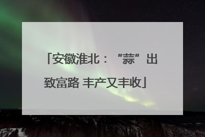 安徽淮北：“蒜”出致富路 丰产又丰收