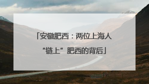 安徽肥西：两位上海人“链上”肥西的背后