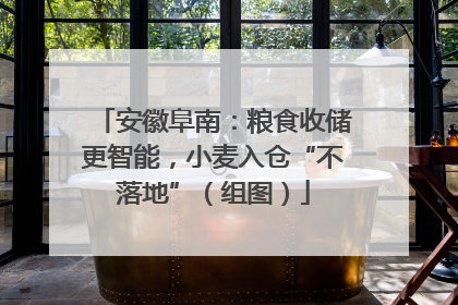 安徽阜南：粮食收储更智能，小麦入仓“不落地”（组图）